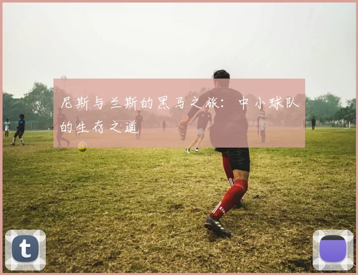 尼斯与兰斯的黑马之旅：中小球队的生存之道