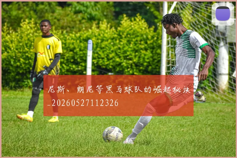 尼斯、朗尼等黑马球队的崛起秘诀_20260527112326