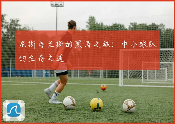 尼斯与兰斯的黑马之旅：中小球队的生存之道